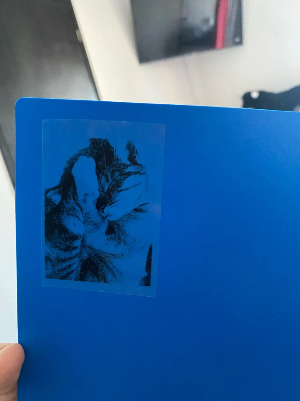 Review Card