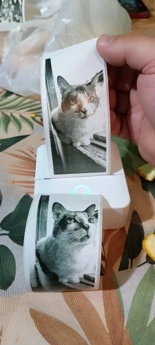Review Card